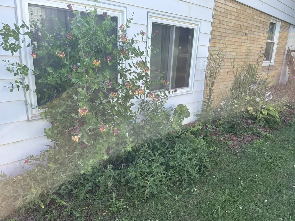 Local garden landscaping experts serving Oberlin, OH - Admirable landscaping