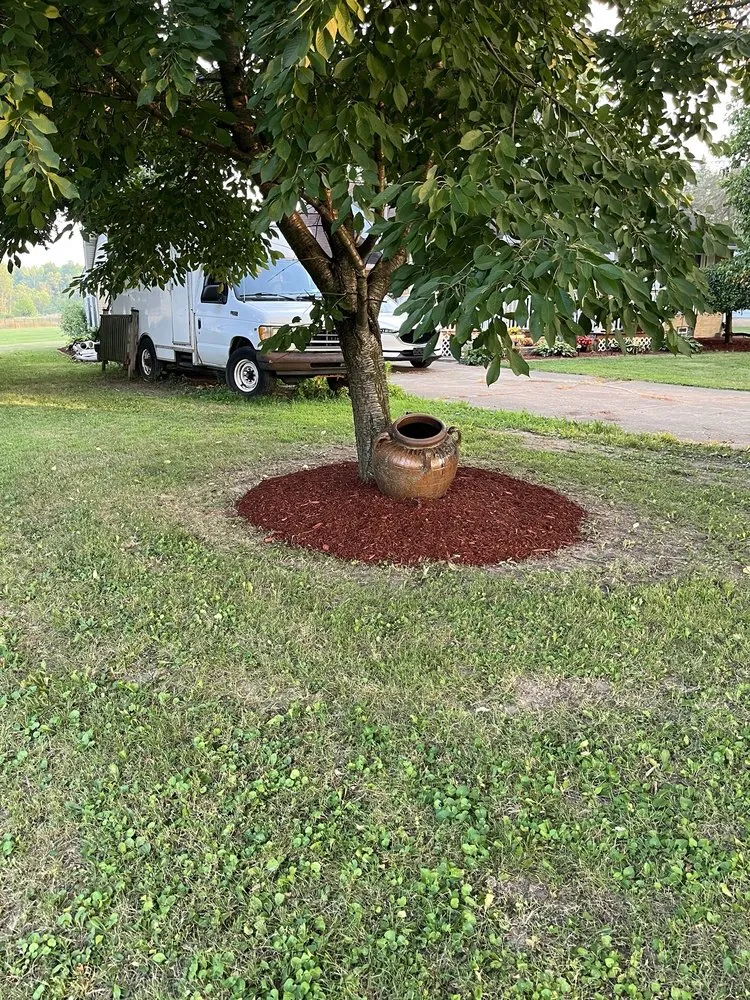 Affordable yard cleanup service for beautiful yards in Oberlin, OH by Admirable landscaping