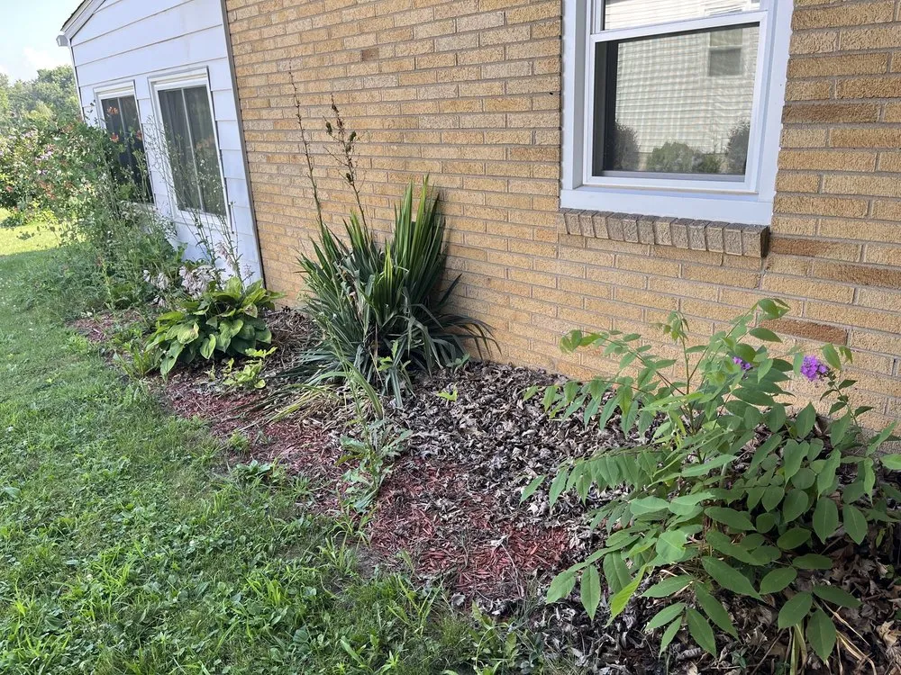 Professional lawn care service in Oberlin, OH - Admirable landscaping