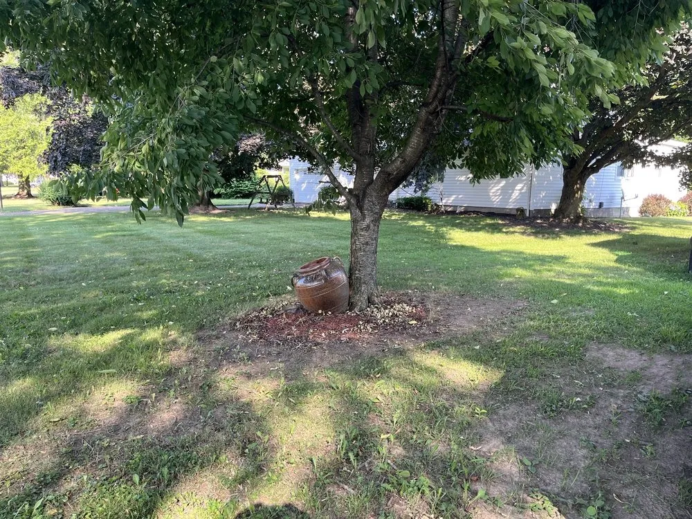 Trusted residential landscaping for beautiful yards across Oberlin, OH - Admirable landscaping