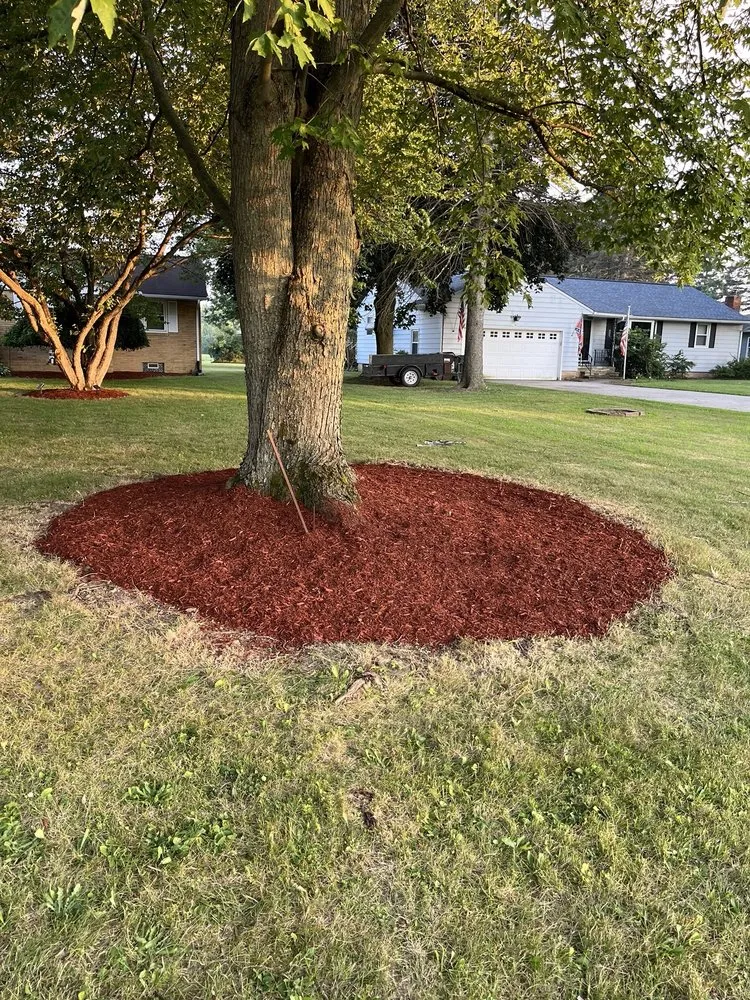 Top-rated outdoor landscaping in Oberlin, OH - Admirable landscaping