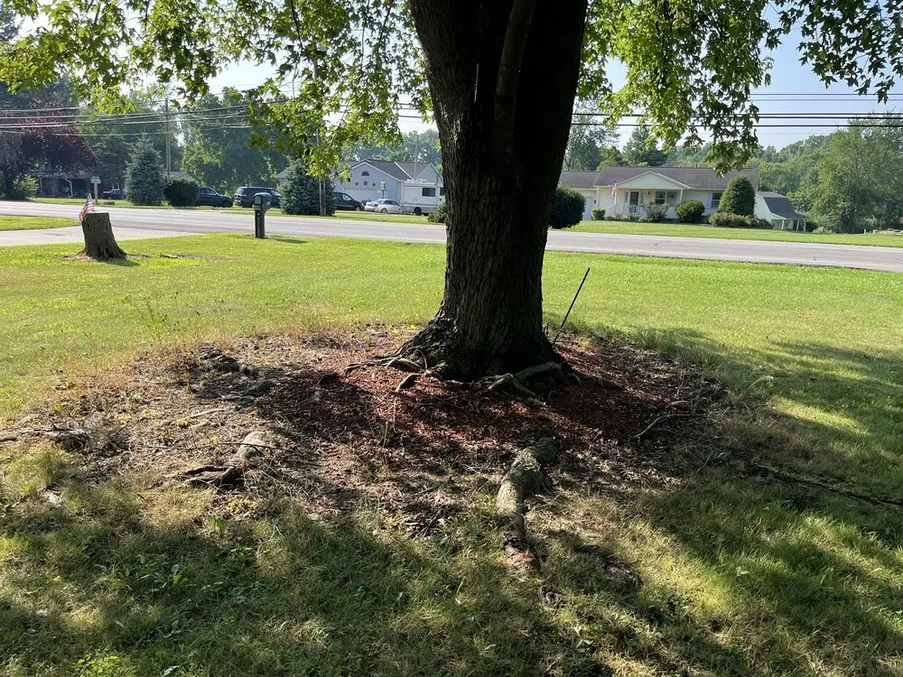 Reliable residential landscaping experts serving Oberlin, OH - Admirable landscaping