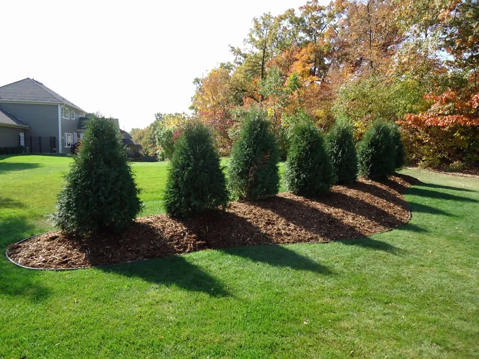 Local landscaping services in Brooklyn, NY - Admire Landscaping