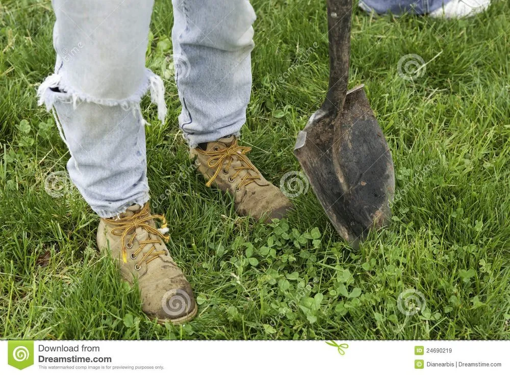 Affordable outdoor landscaping in Brooklyn, NY by Admire Landscaping