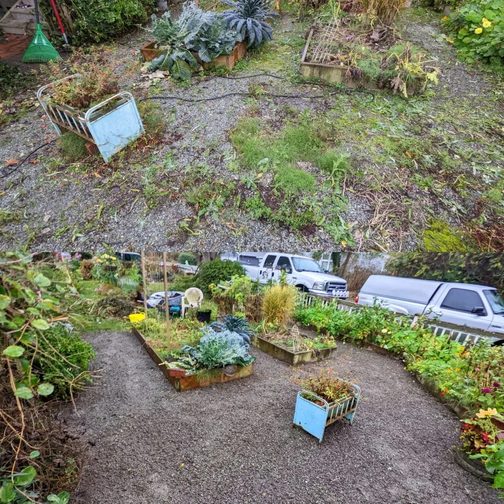 Custom landscape design in Seattle, WA - Admired Earth Gardening Services