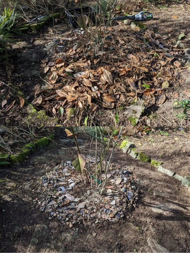 Affordable outdoor landscaping experts serving Seattle, WA - Admired Earth Gardening Services