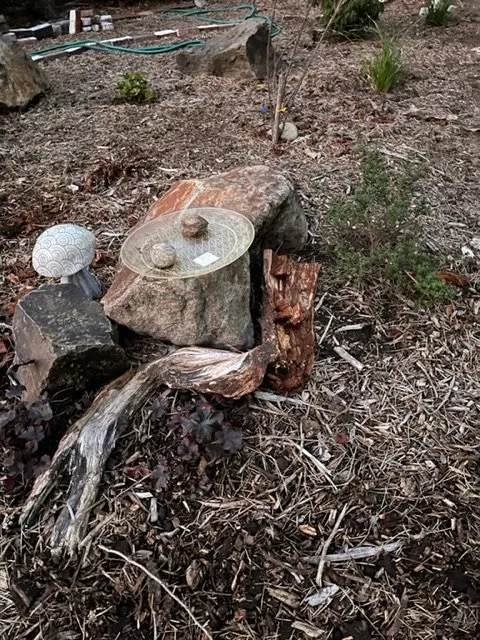 Affordable outdoor landscaping in Seattle, WA - Admired Earth Gardening Services