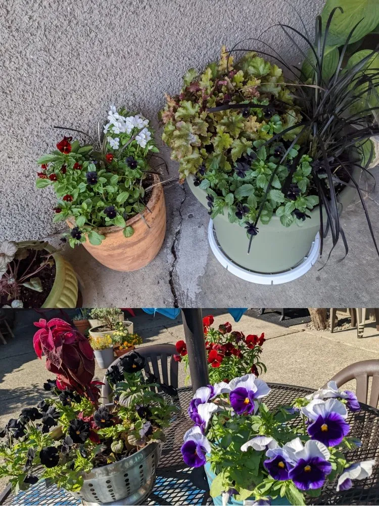 Reliable outdoor landscaping in Seattle, WA - Admired Earth Gardening Services