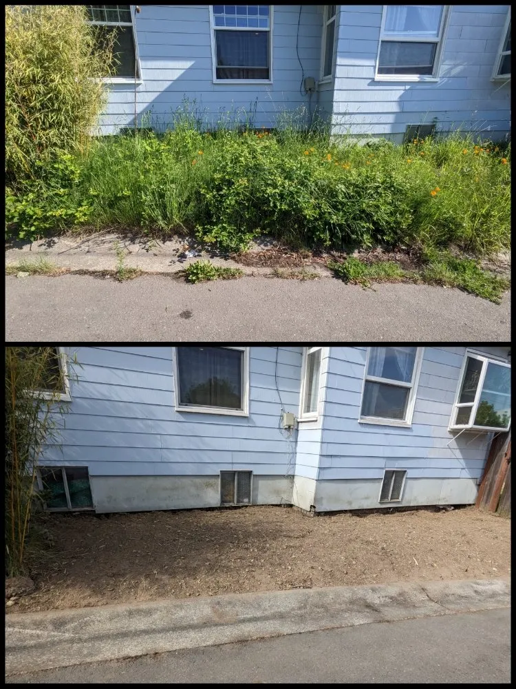 Expert lawn care service experts serving Seattle, WA - Admired Earth Gardening Services