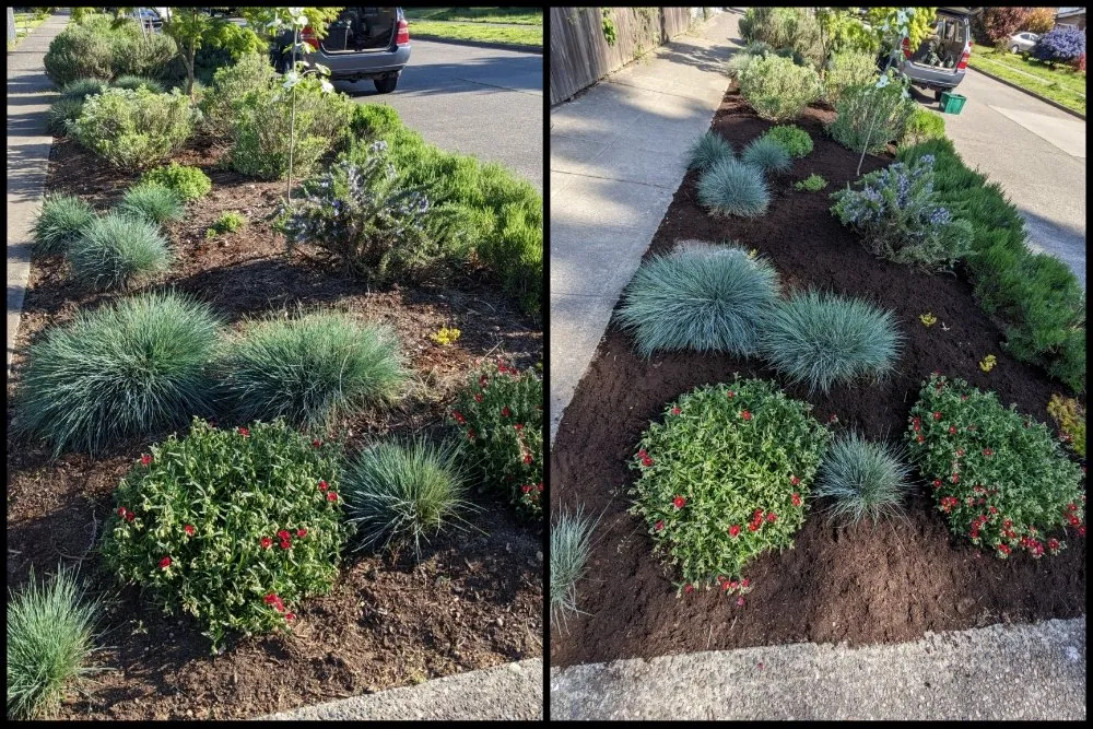Top-rated landscaping services experts serving Seattle, WA - Admired Earth Gardening Services
