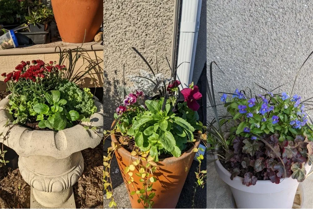 Reliable lawn mowing service for outdoor upgrades across Seattle, WA - Admired Earth Gardening Services