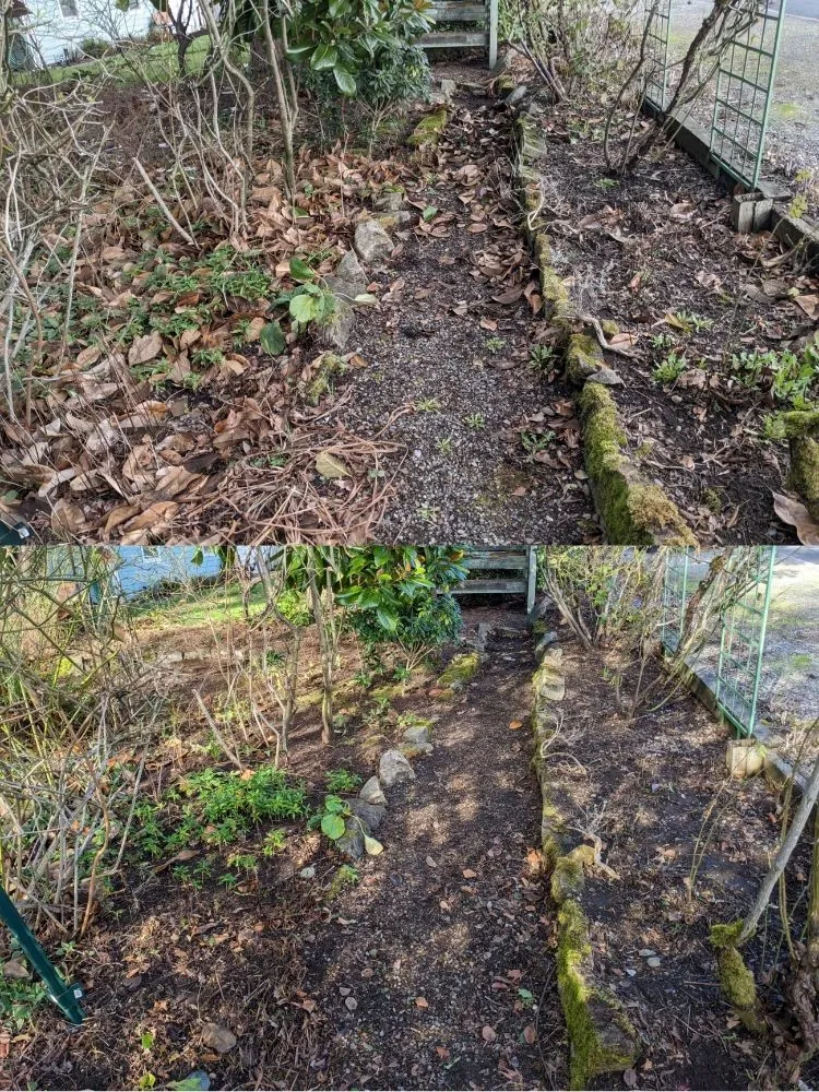 Expert landscaping services experts serving Seattle, WA - Admired Earth Gardening Services