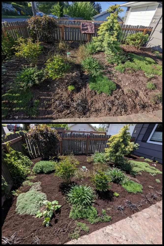 Custom landscaping services with custom design in Seattle, WA by Admired Earth Gardening Services