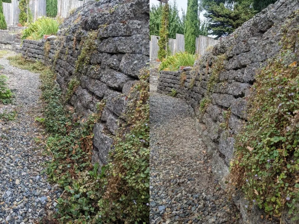 Expert garden landscaping experts serving Seattle, WA - Admired Earth Gardening Services