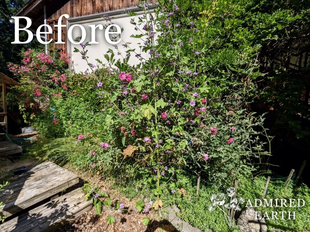 Custom landscape design experts serving Seattle, WA - Admired Earth Gardening Services