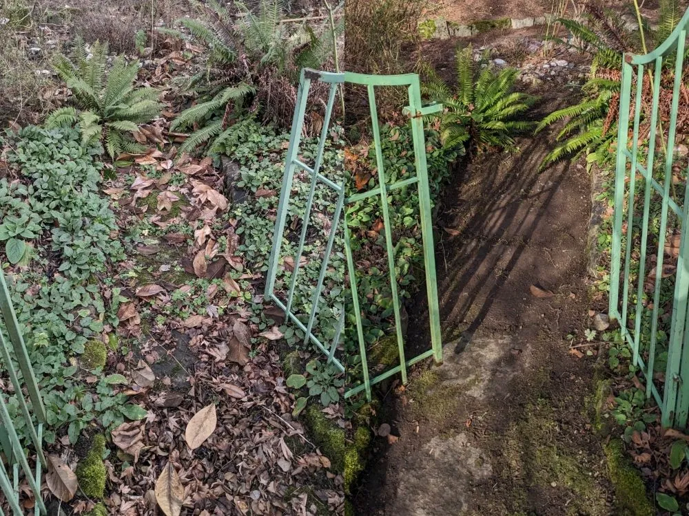 Local landscaping services experts serving Seattle, WA - Admired Earth Gardening Services