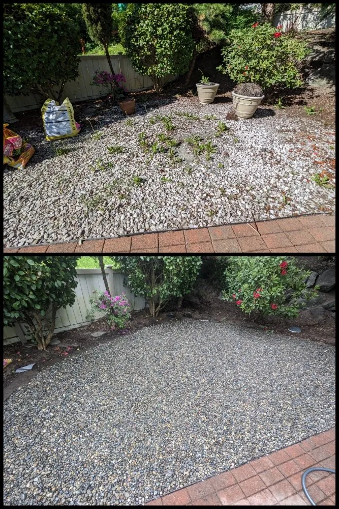 Local garden landscaping experts serving Seattle, WA - Admired Earth Gardening Services