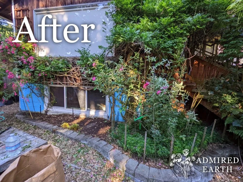 Top-rated outdoor landscaping for residential properties in Seattle, WA by Admired Earth Gardening Services