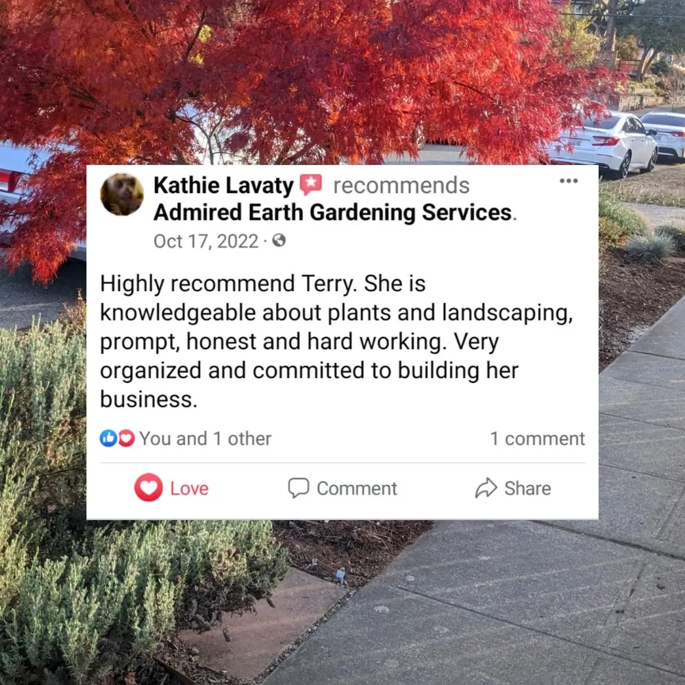 Reliable residential landscaping in Seattle, WA - Admired Earth Gardening Services