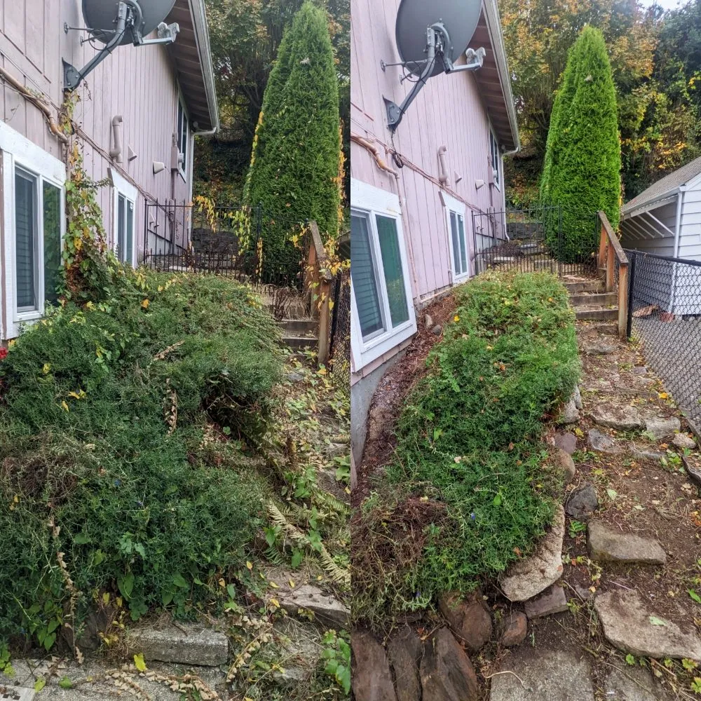 Professional landscape design for outdoor upgrades across Seattle, WA - Admired Earth Gardening Services