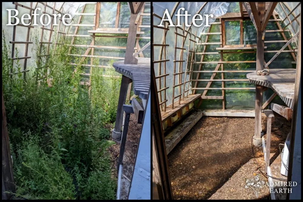 Expert landscaping services for outdoor upgrades across Seattle, WA - Admired Earth Gardening Services