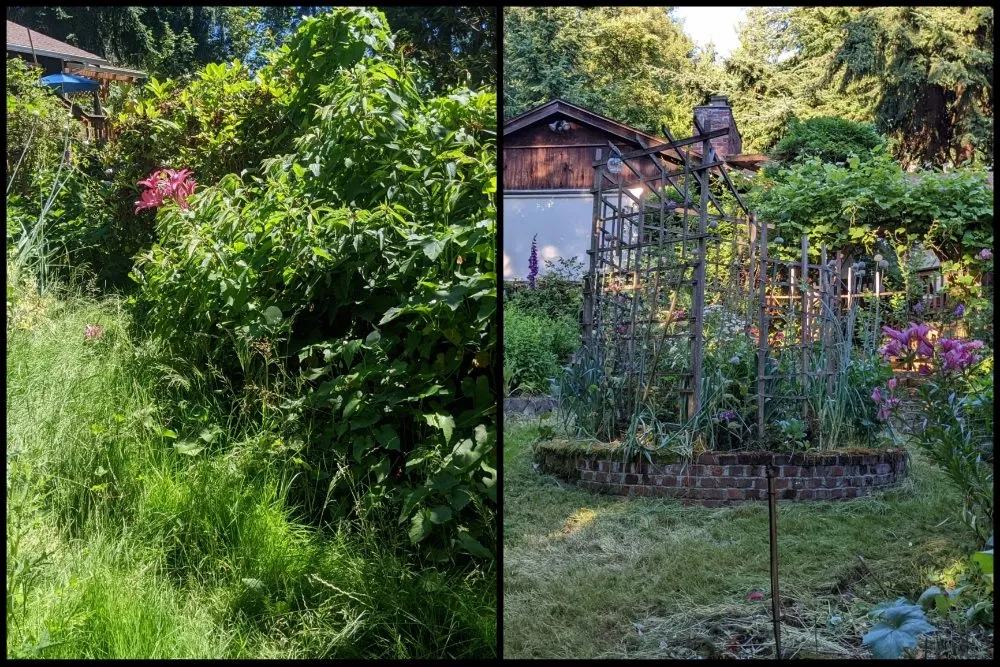 Reliable landscaping services with custom design in Seattle, WA by Admired Earth Gardening Services