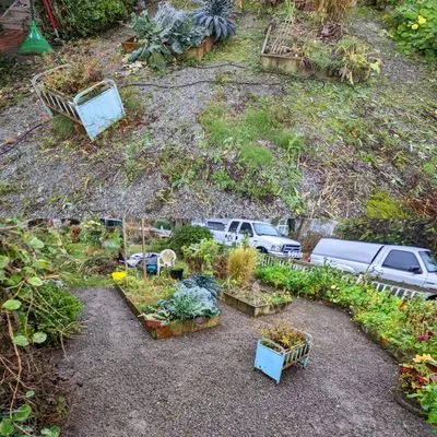 Admired Earth Gardening Services Logo