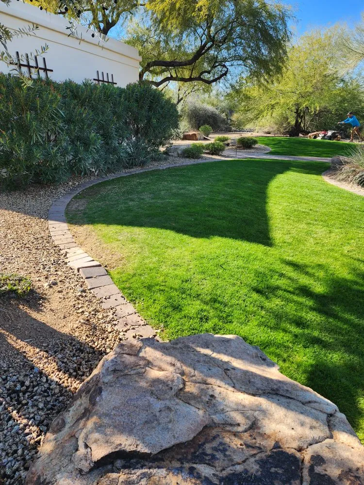 Expert lawn care service in Phoenix, AZ by Adobe Landscaping And Maintenance