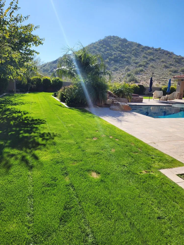 Affordable landscape installation experts serving Phoenix, AZ - Adobe Landscaping And Maintenance