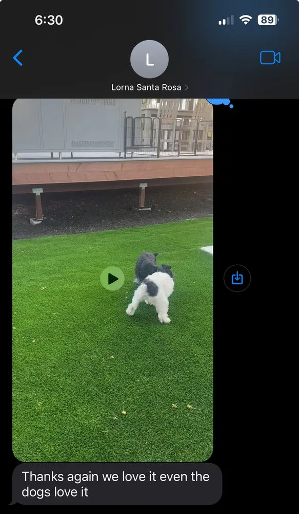 Professional landscaping services in San Jose, CA by Adobe Yard Masters Pools & Landscapes