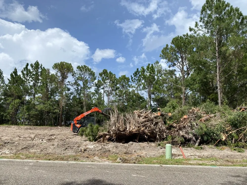 Affordable landscape installation for year-round maintenance in Ocoee, FL by Adolfo Landscaping Services