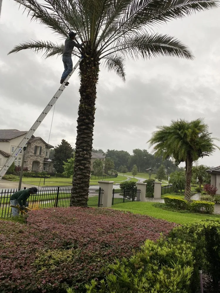 Professional garden landscaping for outdoor upgrades in Ocoee, FL by Adolfo Landscaping Services