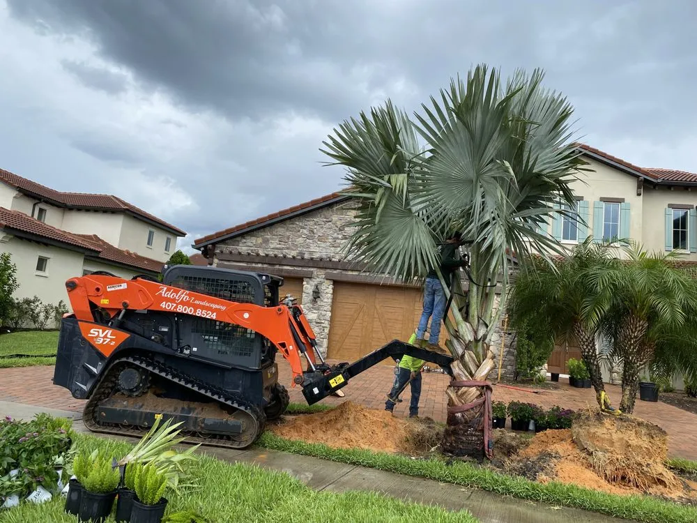 Expert yard cleanup service experts serving Ocoee, FL - Adolfo Landscaping Services
