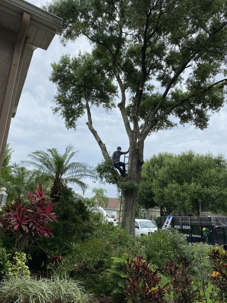 Expert residential landscaping for homes in Ocoee, FL by Adolfo Landscaping Services