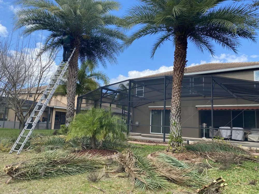 Reliable lawn care service near you across Ocoee, FL - Adolfo Landscaping Services