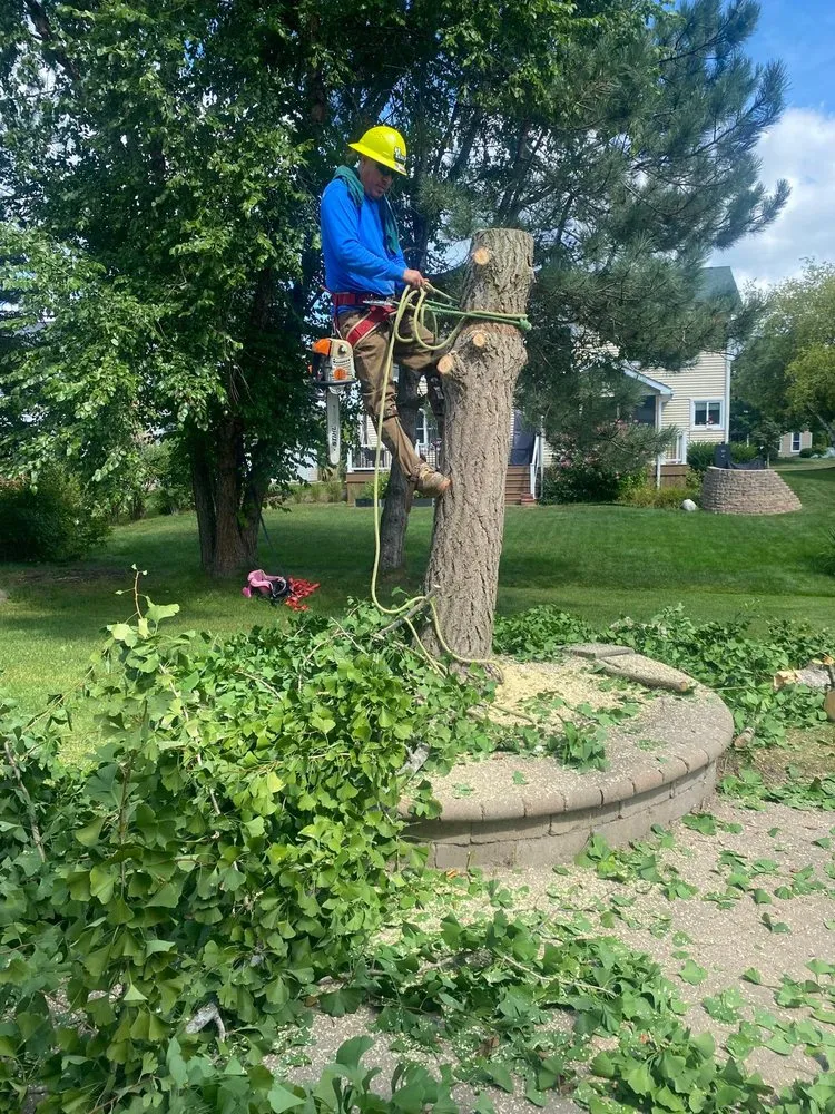 Custom garden landscaping experts serving Carpentersville, IL - Adolfo Tree Services