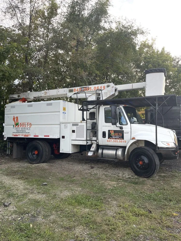 Top-rated garden landscaping in Carpentersville, IL by Adolfo Tree Services