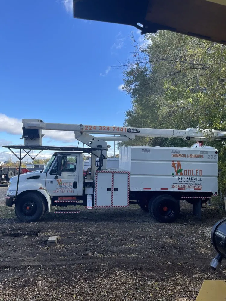 Affordable outdoor landscaping experts serving Carpentersville, IL - Adolfo Tree Services