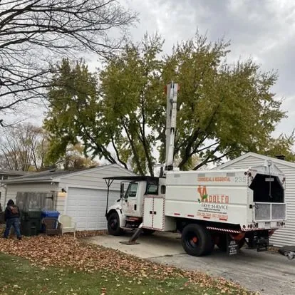 Custom landscaping services with custom design in Carpentersville, IL by Adolfo Tree Services