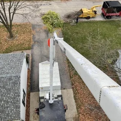 Professional yard cleanup service in Carpentersville, IL by Adolfo Tree Services