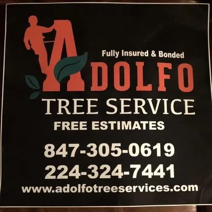 Expert garden landscaping near you across Carpentersville, IL - Adolfo Tree Services