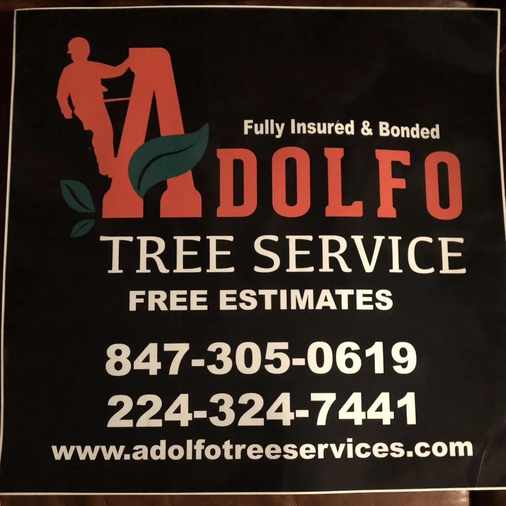 Trusted residential landscaping near you in Carpentersville, IL by Adolfo Tree Services