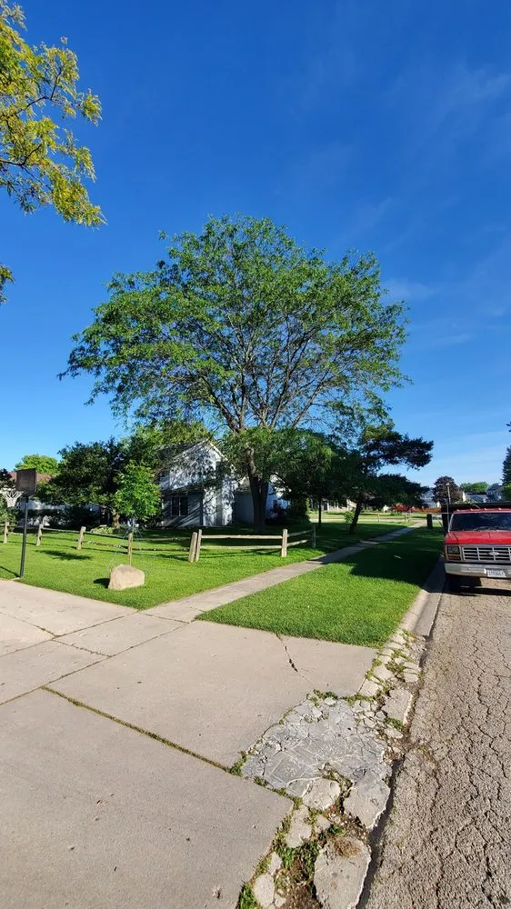 Top-rated residential landscaping experts serving Carpentersville, IL - Adolfo Tree Services
