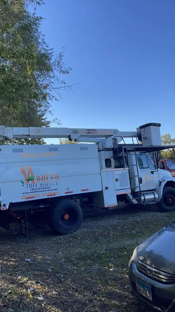 Custom landscape installation in Carpentersville, IL by Adolfo Tree Services