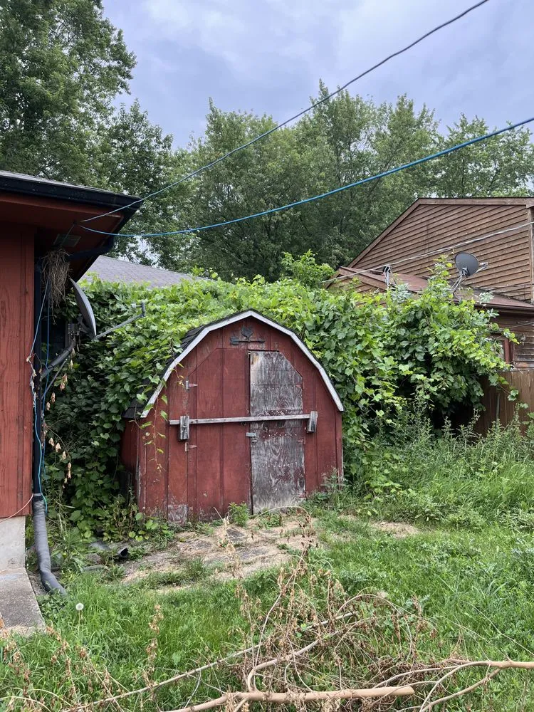 Professional lawn care service in Carpentersville, IL by Adolfo Tree Services