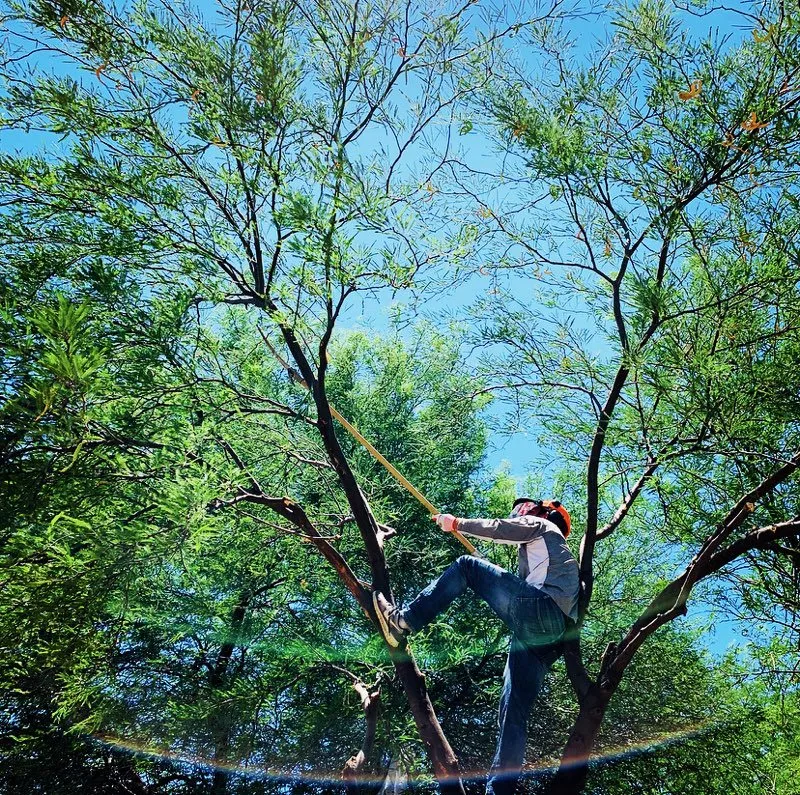 Custom lawn care service experts serving Buckeye, AZ - Adolfo's Land Care