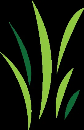 Reliable lawn care service in Buckeye, AZ - Adolfo's Land Care