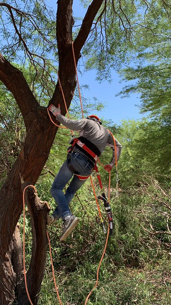 Professional lawn care service with custom design in Buckeye, AZ by Adolfo's Land Care