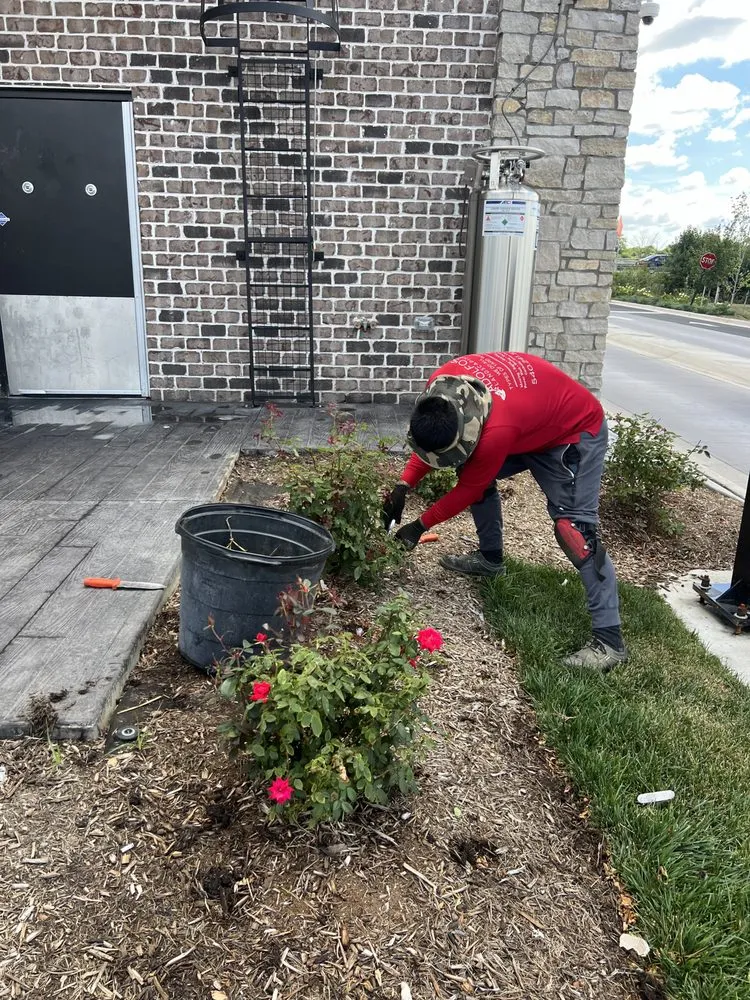 Custom yard cleanup service experts serving Waynesboro, VA - Adolfo's Landscape & Lawn Service