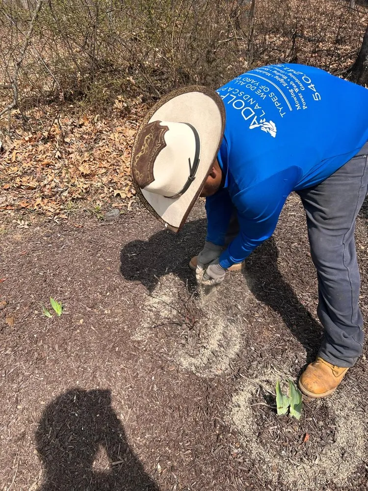 Reliable yard maintenance in Waynesboro, VA by Adolfo's Landscape & Lawn Service